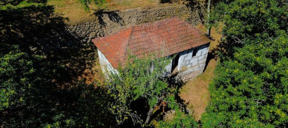 2 bedrooms House in Cinfaes, Portugal No. 186235 2