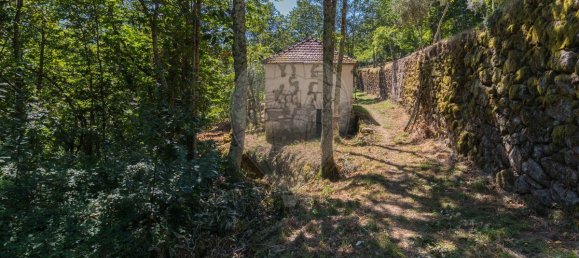 2 bedrooms House in Cinfaes, Portugal No. 186235 21