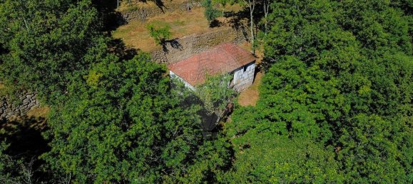 2 bedrooms House in Cinfaes, Portugal No. 186235 7