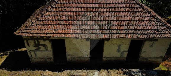 2 bedrooms House in Cinfaes, Portugal No. 186235 9