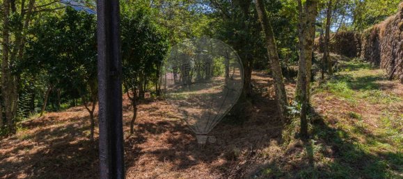 2 bedrooms House in Cinfaes, Portugal No. 186235 18