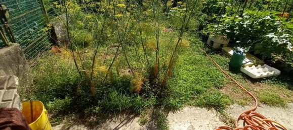 Casa de 4 dormitorios en Borgo Ticino, Italy No. 358077 4