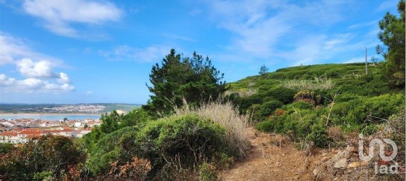 Land in Sao Martinho do Porto, Portugal No. 134612 7