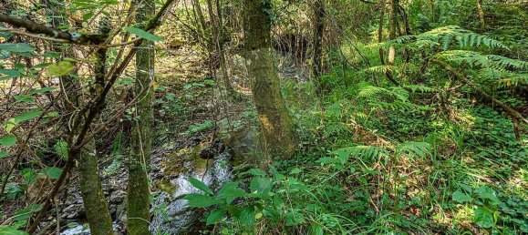 1 Schlafzimmer Haus in Felgueiras, Portugal, Nr. 20879 26