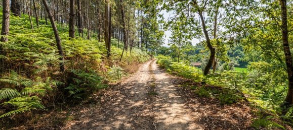 1 Schlafzimmer Haus in Felgueiras, Portugal, Nr. 20879 17