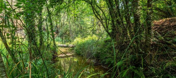 1 Schlafzimmer Haus in Felgueiras, Portugal, Nr. 20879 23