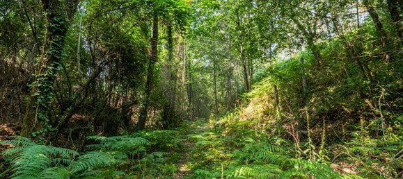 1 Schlafzimmer Haus in Felgueiras, Portugal, Nr. 20879 27