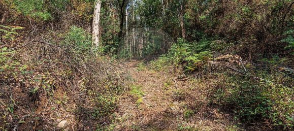1 Schlafzimmer Haus in Felgueiras, Portugal, Nr. 20879 28