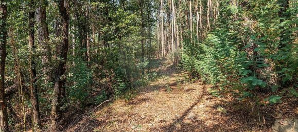 1 Schlafzimmer Haus in Felgueiras, Portugal, Nr. 20879 18