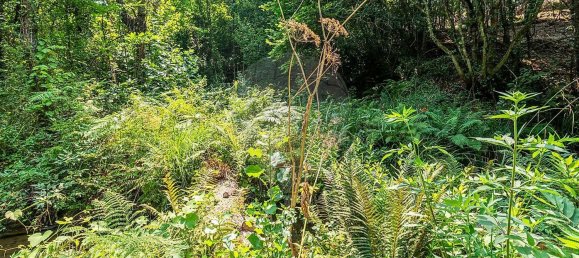 1 Schlafzimmer Haus in Felgueiras, Portugal, Nr. 20879 22