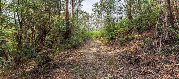 1 Schlafzimmer Haus in Felgueiras, Portugal, Nr. 20879 20
