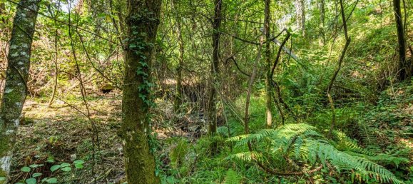 1 Schlafzimmer Haus in Felgueiras, Portugal, Nr. 20879 25