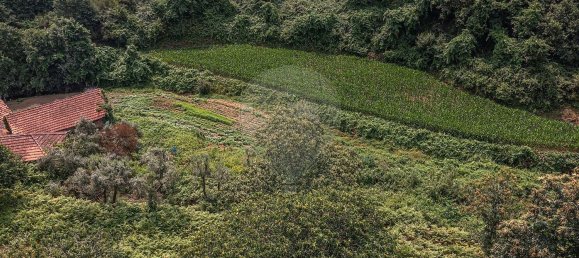 1 Schlafzimmer Haus in Felgueiras, Portugal, Nr. 20879 5