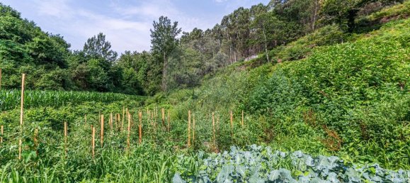 1 Schlafzimmer Haus in Felgueiras, Portugal, Nr. 20879 8