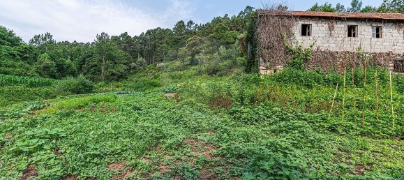 1 Schlafzimmer Haus in Felgueiras, Portugal, Nr. 20879 10