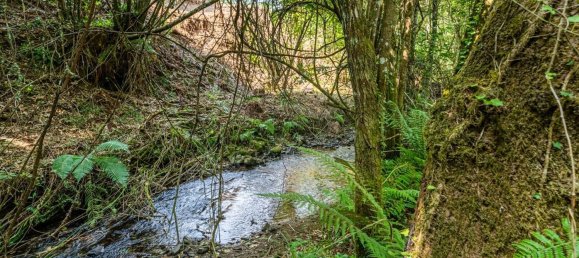 1 Schlafzimmer Haus in Felgueiras, Portugal, Nr. 20879 24