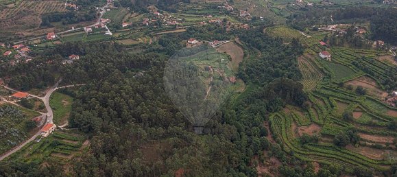 1 Schlafzimmer Haus in Felgueiras, Portugal, Nr. 20879 4