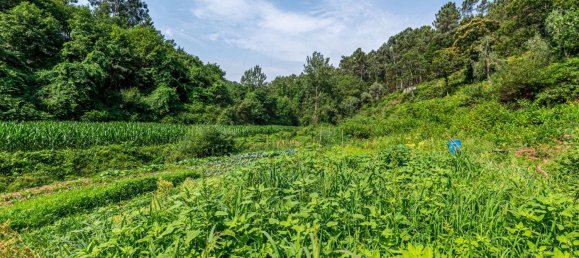 1 Schlafzimmer Haus in Felgueiras, Portugal, Nr. 20879 15
