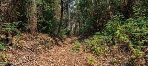1 Schlafzimmer Haus in Felgueiras, Portugal, Nr. 20879 29