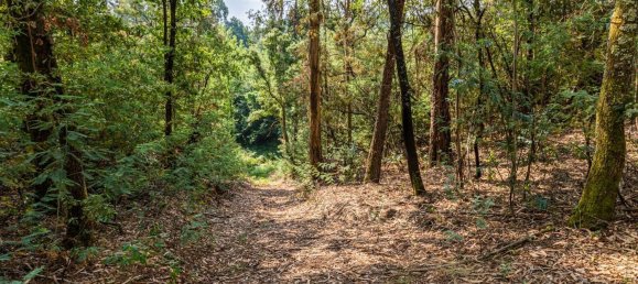 1 Schlafzimmer Haus in Felgueiras, Portugal, Nr. 20879 19