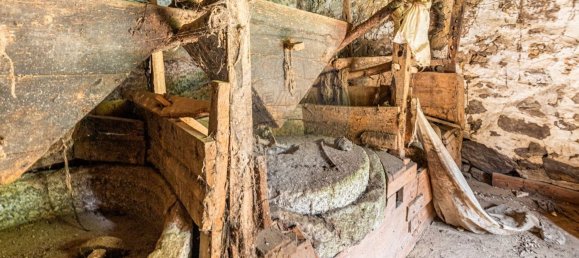 1 Schlafzimmer Haus in Felgueiras, Portugal, Nr. 20879 16