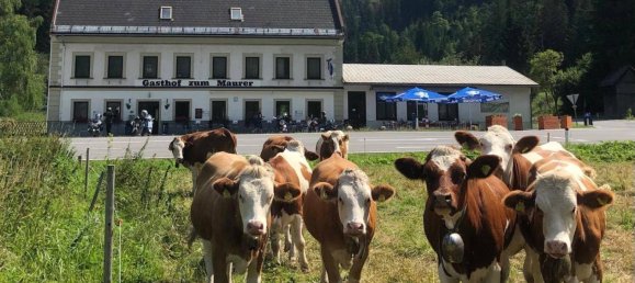 Gewerbliche Immobilie in Mariazell, Austria 577m², Nr. 139392 2