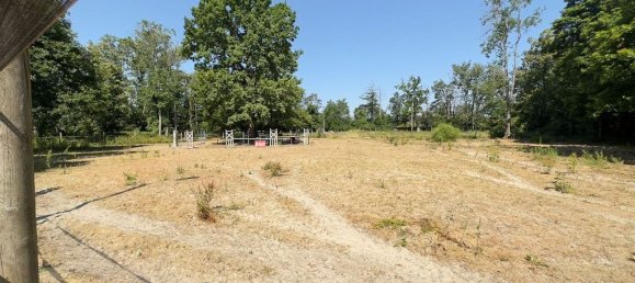 5 غرف نوم فيلا في Montigny-sur-Loing, France رقم 191581 10