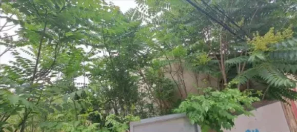  Land in Salamanca, Spain No. 29035 8