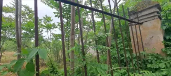  Land in Salamanca, Spain No. 29035 10