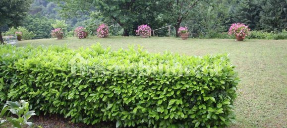 10 Schlafzimmer Haus in Lucca, Italy, Nr. 330078 3