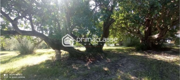 5 rooms Villa in Modica, Italy No. 159520 15