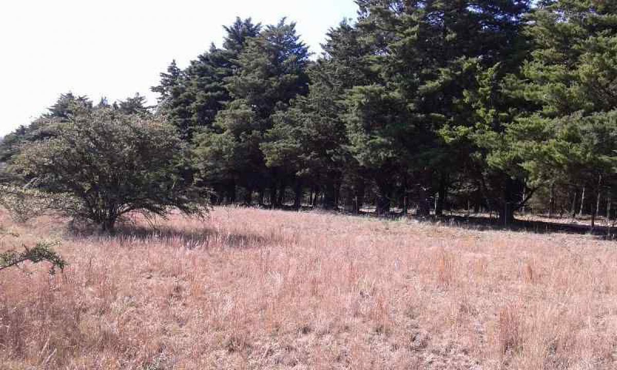 Grundstück in Cordoba, Argentina, Nr. 36249