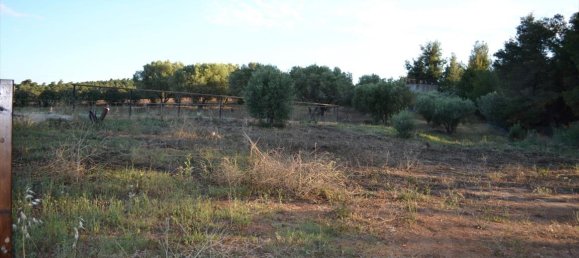 4 chambres Propriété commerciale à Chalkidiki, Greece No. 6259 28