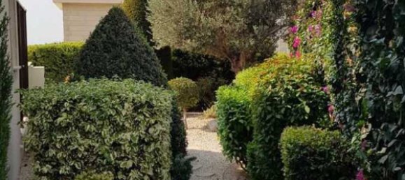 3 bedrooms House in Pegeia, Cyprus No. 10604 5