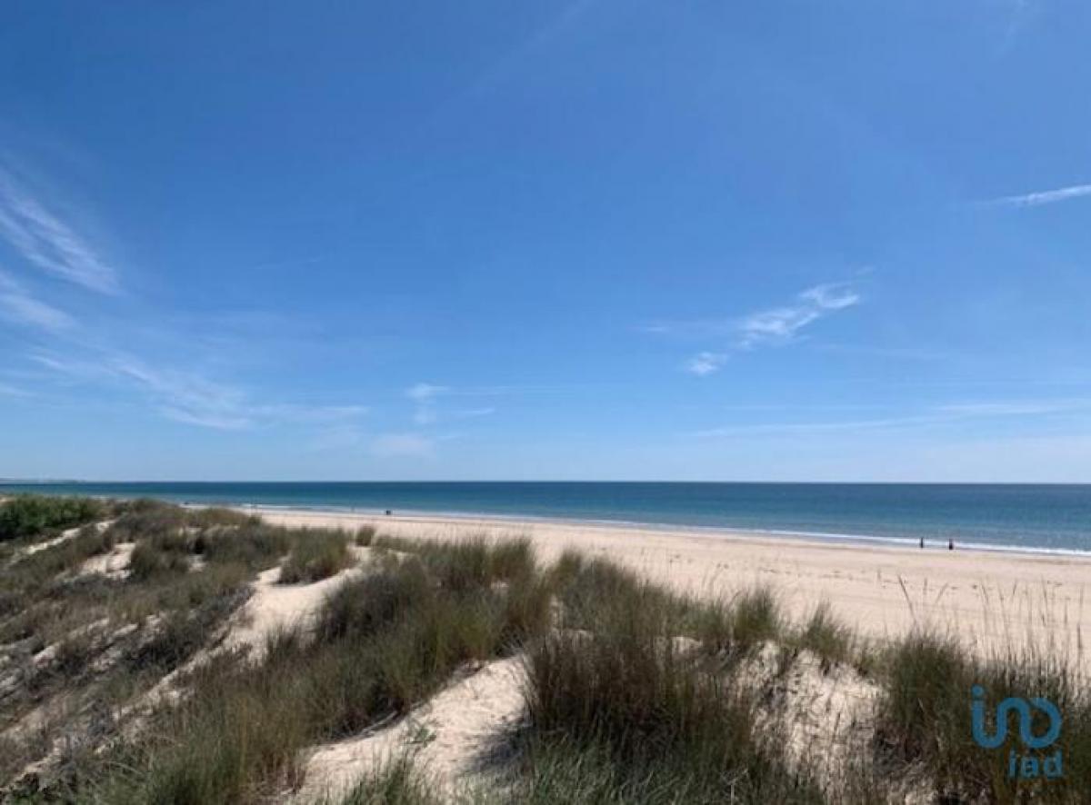 Loja em Faro, Portugal 400 m² N.º 8039