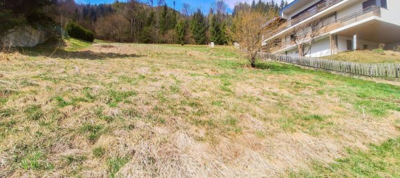  Land in Murau, Austria No. 163449 5