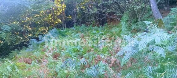 2-salle Maison à Casale Corte Cerro, Italy No. 351813 18