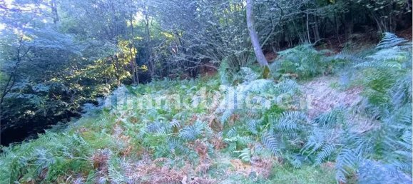 2-salle Maison à Casale Corte Cerro, Italy No. 351813 16