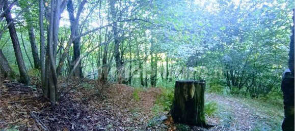 2-salle Maison à Casale Corte Cerro, Italy No. 351813 19