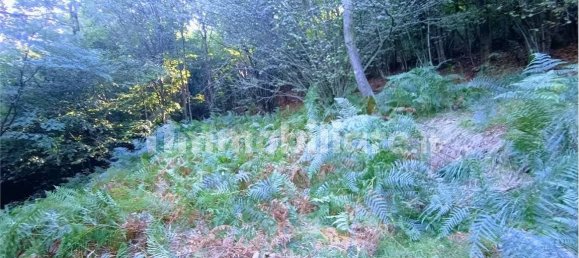 2-salle Maison à Casale Corte Cerro, Italy No. 351813 17