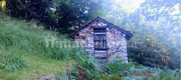 2-salle Maison à Casale Corte Cerro, Italy No. 351813 5