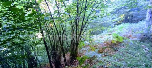 2-salle Maison à Casale Corte Cerro, Italy No. 351813 23