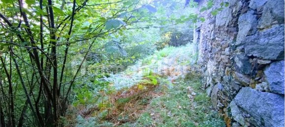 2-salle Maison à Casale Corte Cerro, Italy No. 351813 11