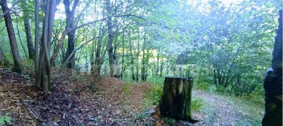 2-salle Maison à Casale Corte Cerro, Italy No. 351813 21