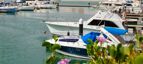 2 غرف نوم شقة في Al Hamra Village, UAE رقم 21224 3