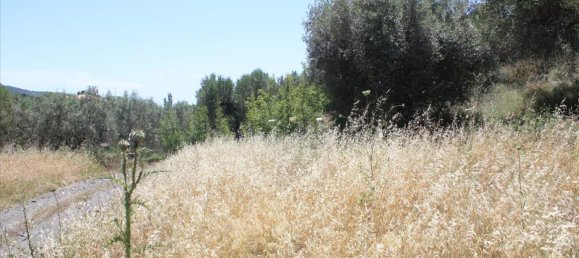 2000m² Hotel in Chalkidiki, Greece No. 6638 4