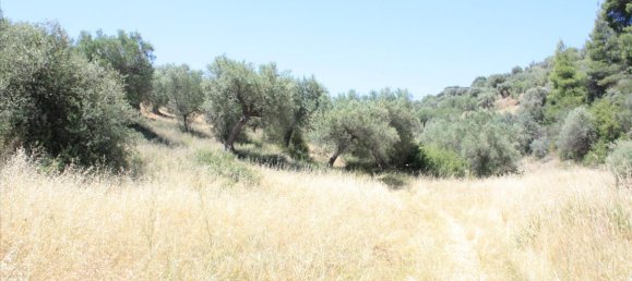 2000m² Hotel in Chalkidiki, Greece No. 6638 2