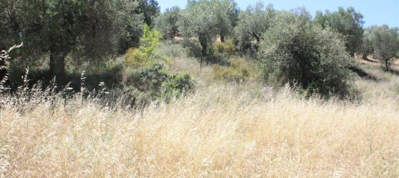 2000m² Hotel in Chalkidiki, Greece No. 6638 5