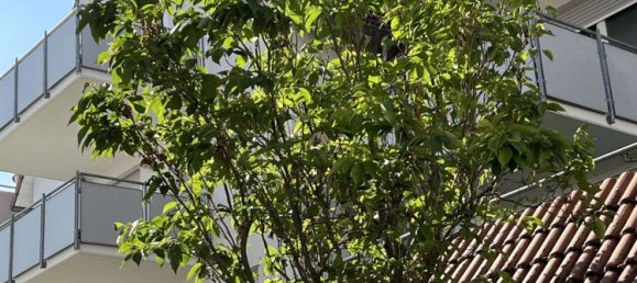 2 chambres Duplex à Boblingen, Germany No. 56786 4