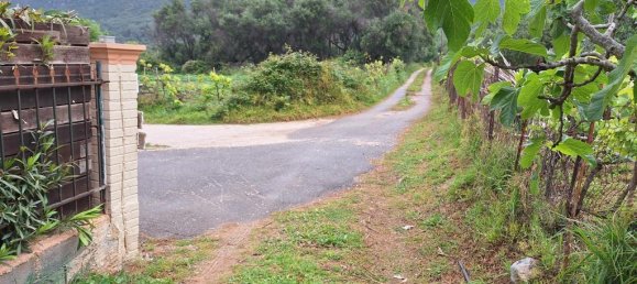 Terrain à Corfu, Greece 4444m² No. 93233 2